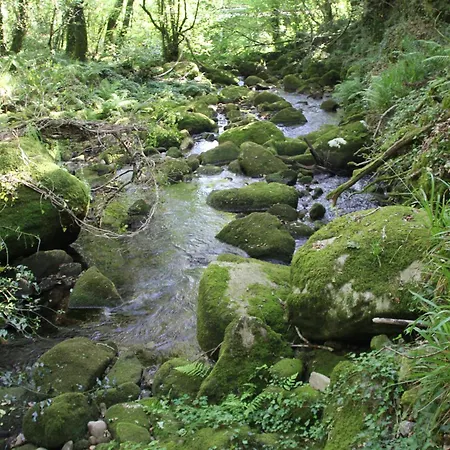Mirador Playa Ribeira 1ª Línea 公寓